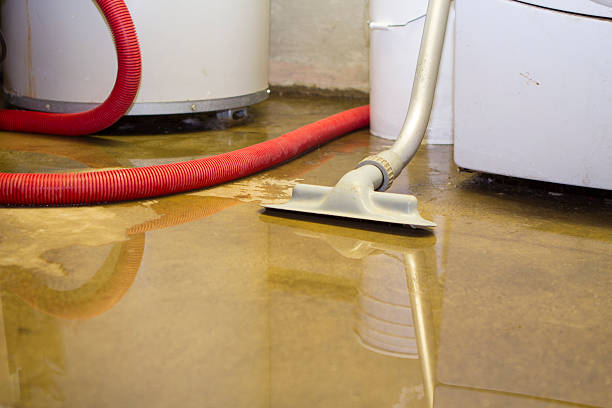 Best Basement water damage restoration  in Social Circle, GA