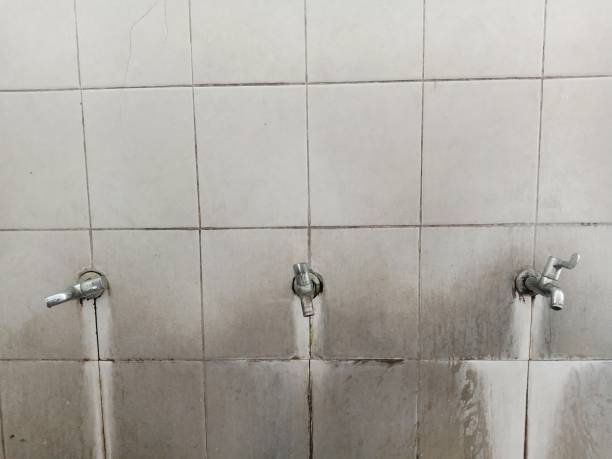 Best Local water damage restoration  in Social Circle, GA
